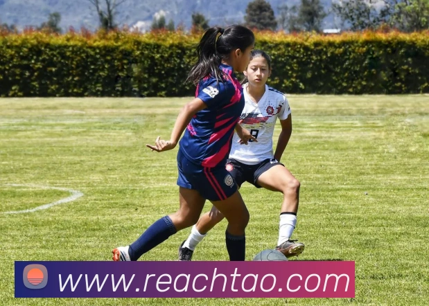 开云体验APPAPP 高清赛事图